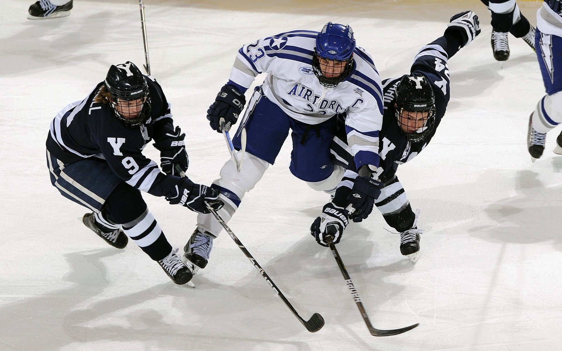 南非羚羊队：每一场比赛都是他们全面能力的完美体现，非洲羚羊的种类及名称